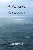 A Chance Sighting (eBook, ePUB)