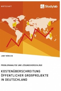 Kostenüberschreitung öffentlicher Großprojekte in Deutschland. Problemanalyse und Lösungsvorschläge - Wünsche, Janet