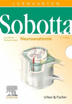 Sobotta Lernkarten Neuroanatomie - Sobotta, Johannes