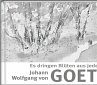 Es dringen Blüten aus jedem Zweig - Bild 1