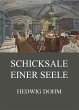 Schicksale einer Seele (eBook, ePUB) - Bild 1