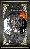 Angels Descendants (eBook, ePUB)