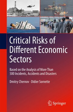 Critical Risks of Different Economic Sectors (eBook, PDF) - Chernov, Dmitry; Sornette, Didier