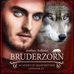 Bruderzorn, Episode 22 - Fantasy-Serie (MP3-Download)