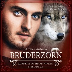 Bruderzorn, Episode 22 - Fantasy-Serie (MP3-Download) - Auburn, Amber