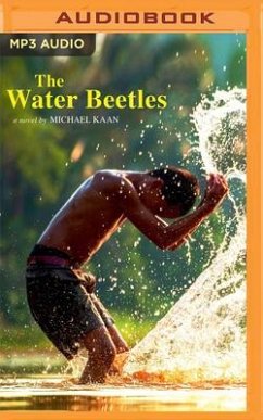 The Water Beetles - Kaan, Michael