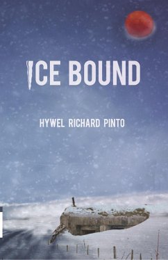 Ice Bound - Pinto, Hywel