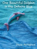 One Beautiful Dolphin in the Infinite Blue