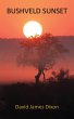 Bushveld Sunset - Bild 1