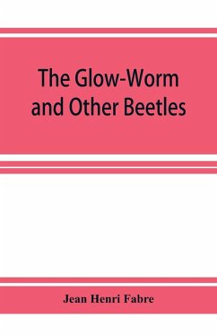 The Glow-Worm and Other Beetles - Henri Fabre, Jean