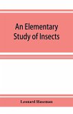 An Elementary Study of Insects