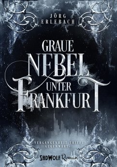 Graue Nebel unter Frankfurt - Erlebach, Jörg