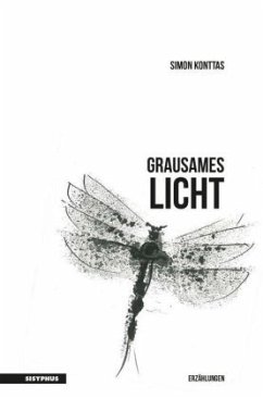 Cover Grausames Licht