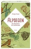 Alpsegen