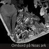 Ombord på Noas ark - Bild 1