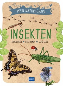 Mein Naturführer - Insekten - Japiot, Xavier