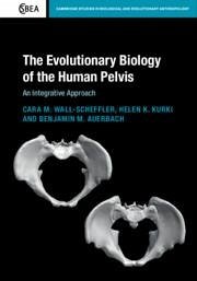 The Evolutionary Biology of the Human Pelvis - Wall-Scheffler, Cara M; Kurki, Helen K; Auerbach, Benjamin M