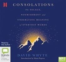 Consolations - Whyte, David