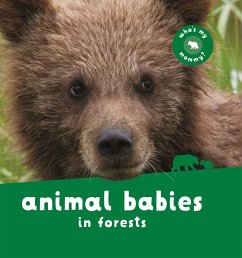 Animal Babies in Forests - Kingfisher Books