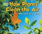 How Plants Clean the Air: One Leaf at a Time