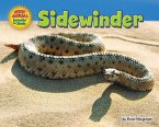 Sidewinder