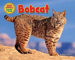 Bobcat - Goldish, Meish