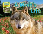 A Wolf's Life