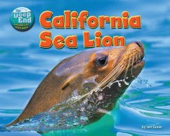 California Sea Lion - Green, Jen