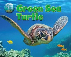 Green Sea Turtle - Jackson, Tom