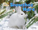 Snowshoe Hare