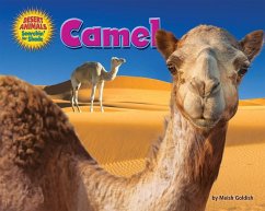 Camel - Goldish, Meish