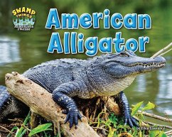 American Alligator - Lawrence, Ellen