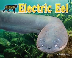 Electric Eel - Lawrence, Ellen