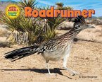 Roadrunner