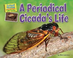 A Periodical Cicada's Life - Lawrence, Ellen