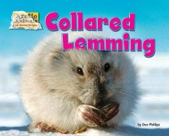 Collared Lemming - Phillips, Dee