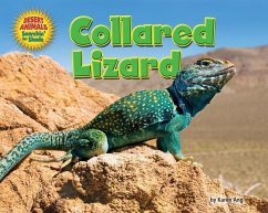 Collared Lizard - Ang, Karen