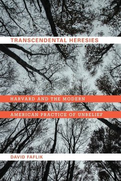 Transcendental Heresies - Faflik, David