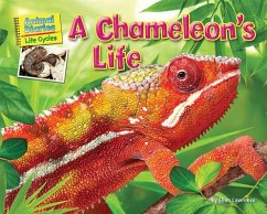 A Chameleon's Life - Lawrence, Ellen