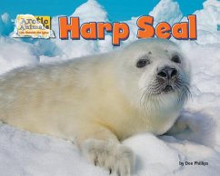 Harp Seal - Phillips, Dee