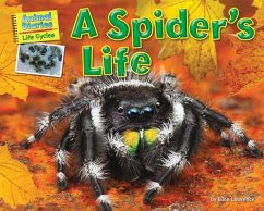 A Spider's Life - Lawrence, Ellen