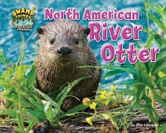 North American River Otter - Lawrence, Ellen