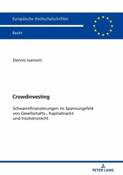 Crowdinvesting - Ivanovic, Dennis