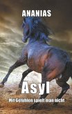 Asyl (eBook, ePUB)