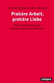 Prekäre Arbeit, prekäre Liebe (eBook, PDF)
