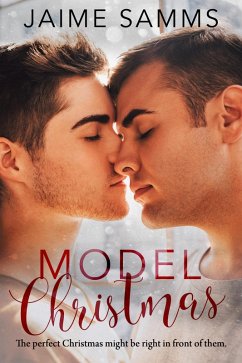Cover Model Christmas (eBook, ePUB)