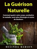 La Guerison Naturelle (eBook, ePUB)
