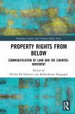 Property Rights from Below (eBook, ePUB)