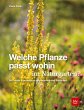 Welche Pflanze passt wohin im... - Bild 1