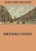 Erzählungen (eBook, ePUB)